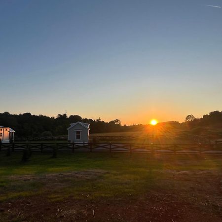 Luxury Riverfront Tiny House- Amazing Views- #111 Strawberry Plains Dış mekan fotoğraf